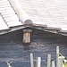 Konnte zuerst nicht erkennen, welche Vogelart es ist.