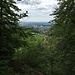 Blick auf Basel