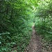 So sieht er also aus, der Weg ins Paradies!