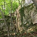 Der ominöse Steinbruch bei der Waldstäge.