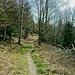 Lichtdurchfluteter Wald im Hinderen Worbberg. (01.04.2020)
