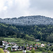 Auf der Fahrt nach oben staunen wir über die klare "Schnee-Kante", die die Eisheiligen über Nacht in den Wald auf ca. 700 m gezogen haben.