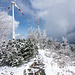 Neben der vielen wetterstrapazierten Bäumen noch zwei weitere Dauerbewohner der Grinde: Windrad und etwas versteckt dahinter der SWR-Funkturm.