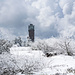 Der Hornisgrindeturm im südlichen Bereich des Plateaus. Er wirkt wie ein Leuchtturm im Wolkenmeer.