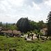 Montallegro