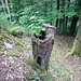 Nicht kleinzukriegen!