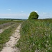 Weg nach Hundhaupten