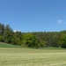 Im Langen Grund