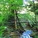 Ein schöner abwechselungsreicher Wanderweg führt durchs Strümpfelbachtal