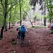 La dorsale per il Binate