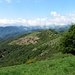 La dorsale del Monte S.Bernardo verso l' Alpe di Carate ed il confine