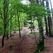Ripido, molto ripido anche se la foto non rende