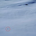 <b>Nel frattempo vedo con sorpresa un’Arvicola delle nevi (Chionomys nivalis) che attraversa di corsa la conca per poi rifugiarsi nella sua tana. Questo roditore, che non va in letargo, è stato trovato fino a 4700 m di altitudine.<br /><img src="http://f.hikr.org/files/3143869k.jpg" /></b>