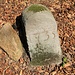 Königlich Sächsischer Forstgrenzstein mit abgetasteter Schrift 1735<br />Wenn dies eine Jahreszahl ist, passt sie nicht zum Stein.