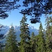Bis zum Grat vom Hirschbichel sind Fernblicke nur gen Süden auf das Wettersteingebirge möglich. 