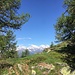 Dall'Alpe Nava