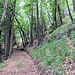 Il primo tratto del sentiero che porta dalla Forcella della Martica al Pass del Diavul è  stato risistemato per poter effettuare dei lavori di regimentazione di un impluvio...