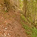 Oberhalb der Klamm geht es auf einem alten Steig der Steinbrecher aufwärts.