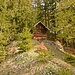 Eine urige, kleine Holzhütte mitten im Wald wird passiert.