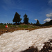 Nordseitige Schneereste so auf 1700 m Höhe