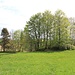 Grubenfeld Friedrich August, Gebäudegrundflächen von Huthaus (rechts) und Bergschmiede