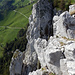 Blick vom Stollen zur Kletterroute "Musentürm" und Buochserhorn.