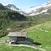 All’Alpe Lendine c’è anche un piccolo campo di calcio, certo bisogna evitare i cross alti perché, se malauguratamente la palla dovesse scendere verso valle: ciaupep! Nel prato in alto a destra si intravede il gregge con il quale si è ricongiunta la nostra pecorella smarrita…