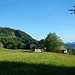 Im Wald und mal an Wiesen vorbei geht's von Latz ...