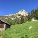 Alpe Cortina
