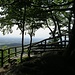 Der letzte Felsen der heutigen Tour ist der Bürstenstein. Von seiner gesicherten Aussichtsplattform hat man noch einmal eine schöne Aussicht ins Rheintal.