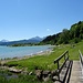 Idylle am Forggensee