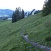 Wenig oberhalb von Kühberg. Das kleine Steiglein zu meinem ersten Ziel, dem Schattenberg, ist zwar nicht markiert, aber deutlich erkennbar.