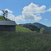 ein Blick zum Schnebelhorn im Hintergrund