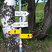 <b>Poco più in alto di Ségin la strada arriva al primo bivio: a destra si continua in direzione di Dalpe, a sinistra verso l’Alpe Piòta.</b>