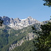 Daumengruppe