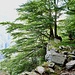 Wegpassage im Aufstieg zum Lago Alzasca.