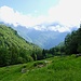 Piandalevi, im Prinzip eine langgezogene Waldlichtung.