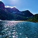 Weit draussen schwimmt Artus im glitzernden Meer.