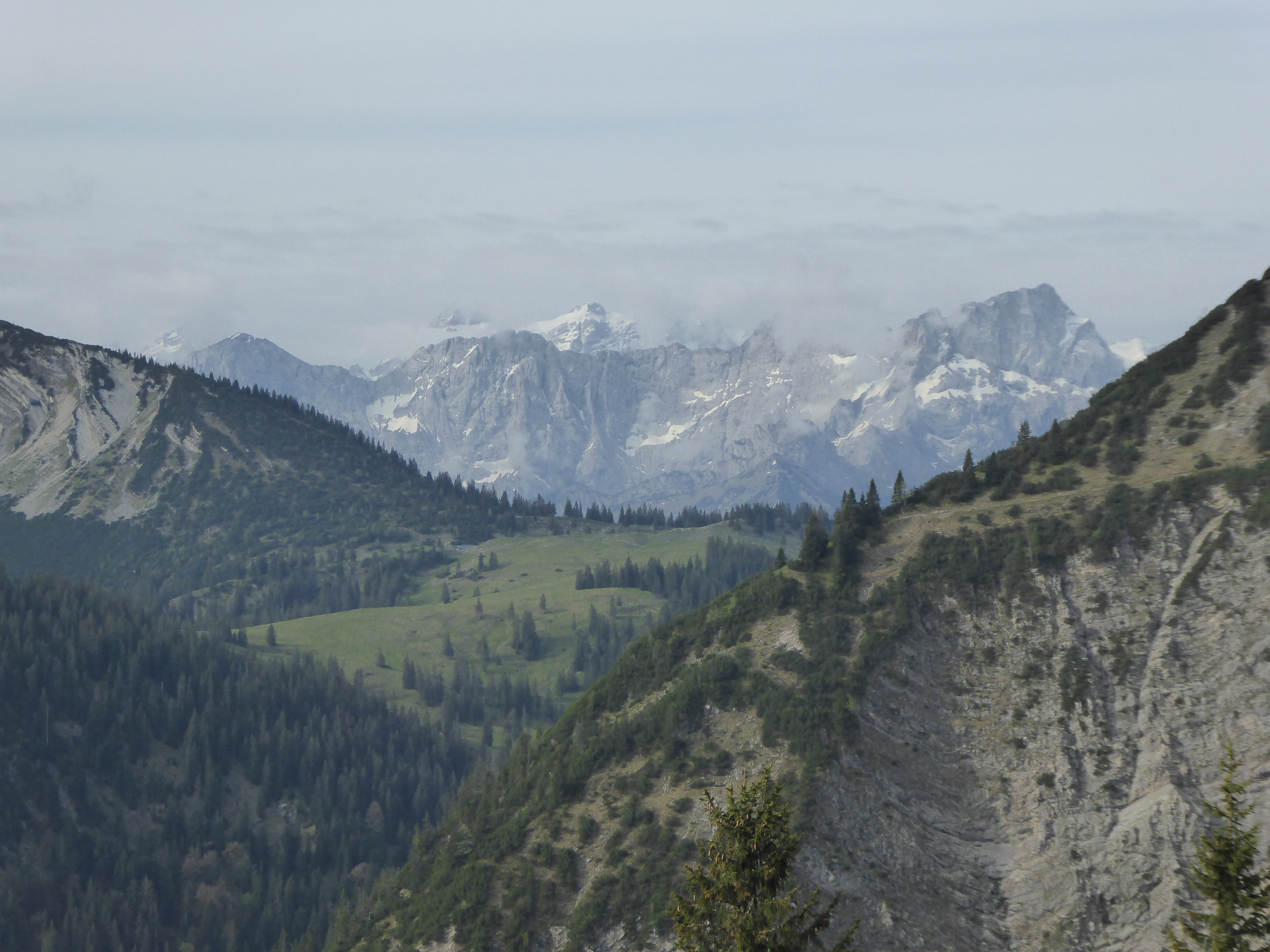 Blick Ins Karwendel. In Das Wiesengelände Steigt Man... [hikr.org]