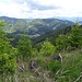 ...geht es auf Steigspuren über den Bergkamm mit herrlichem Blick ins Übelbachtal...