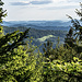 Die Blue Mountains des Black Forest: Ich starte von einem Wanderparkplatz an der Schwarzwaldhochstraße. Von da hoch in den Hang des Geißkopfs (schöne Blicke wie hier nach Süden und  in die Rheinebene) bis zur Wegspinne im Sattel zwischen Letzterem und der Südnase des Schwarzkopfs. 