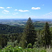 die nächste Aussichtsbank am Hochwald (auch ein Tausender, den man aber nicht erreicht)