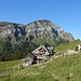 Alp Ober Pfyfferswald