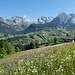 Vorbei an wunderschönen und herrlich duftenden Blumenwiesen auf der Fahrt zum Berghotel Alp Sellamatt wo ich noch einkehrte ...