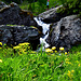 ......Wasser......