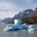 Eisberge auf dem Lago Grey