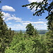 Kälbersteine - Ausblick durch eine Schneise im Wald. Der Blick geht u. a. über Eulowitz zum etwa nördlich gelegenen Thromberg.