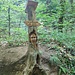 Sentiero delle sculture: il guardiano del bosco