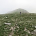 sulla dorsale