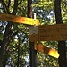 Das erste Ziel ist erreicht. Für den Weiterweg folge ich den Weg einige Meter in Richtung Staffelegg.